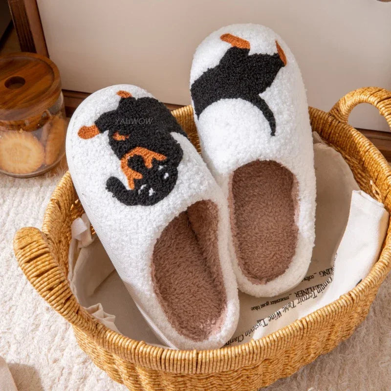 Dachshund Cotton Slippers